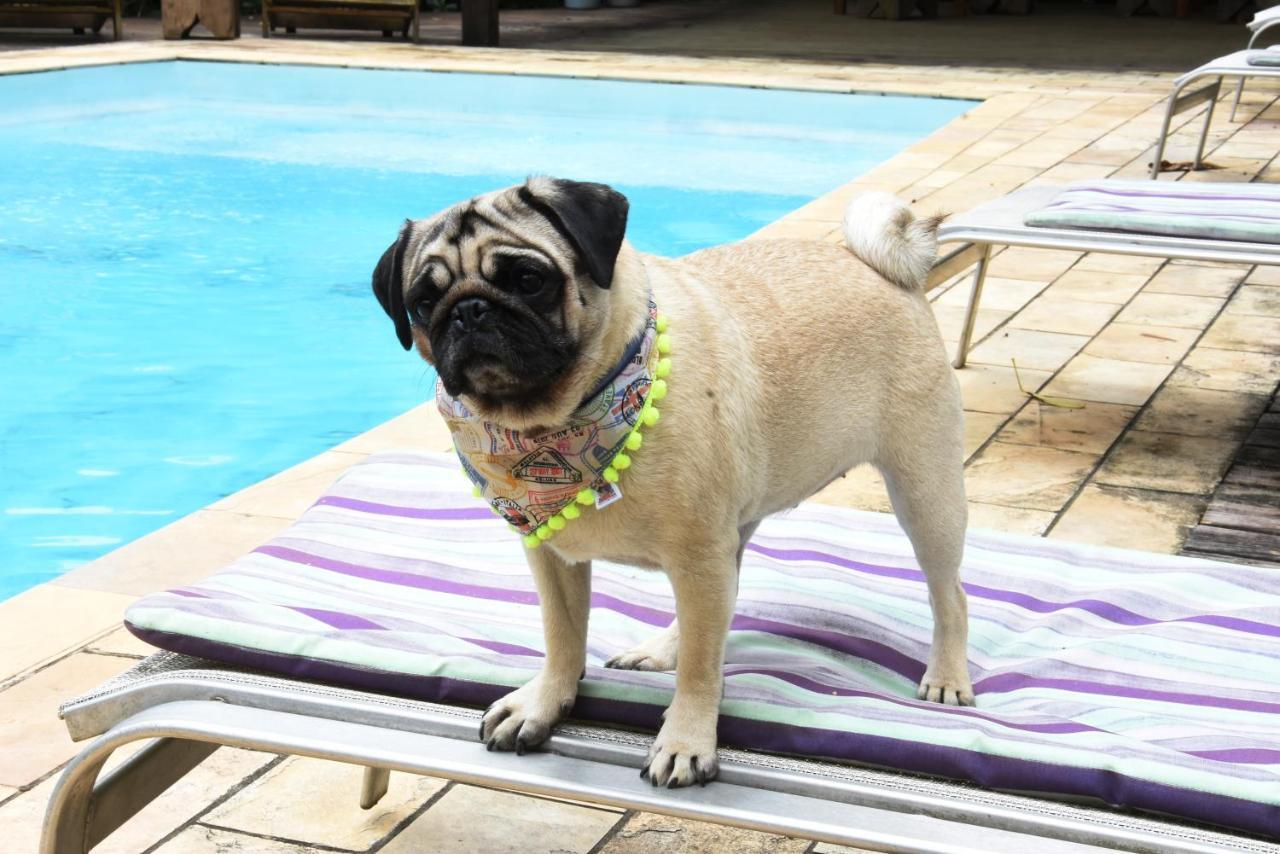 Pousada Portal Do Cacau-Petfriendly Camburi Kültér fotó